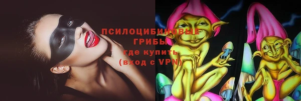 мет Ельня