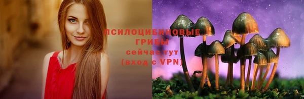 винт Елабуга