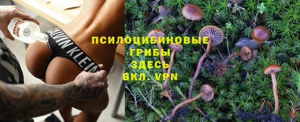 винт Елабуга