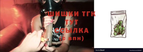 мет Ельня