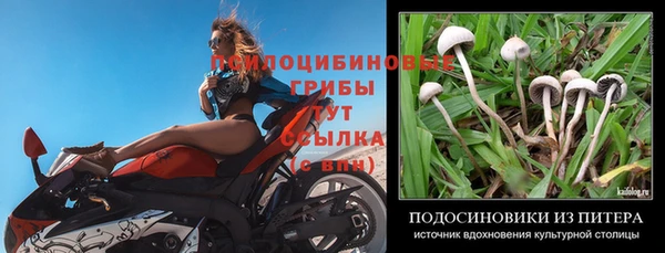 не бодяженный Елизово