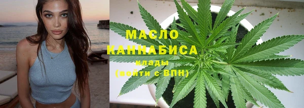 мет Ельня