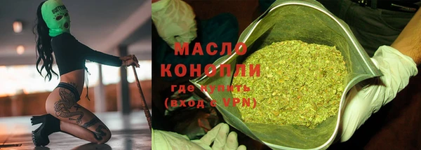 мет Ельня