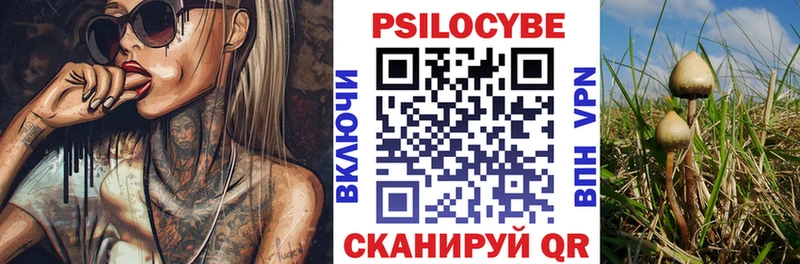 Псилоцибиновые грибы Psilocybe  хочу наркоту  Южа 