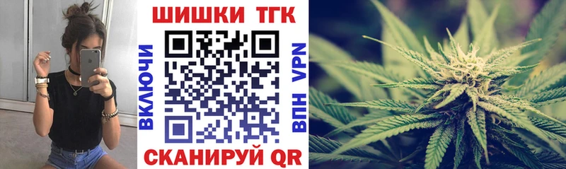 Бошки Шишки гибрид  Южа 